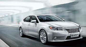 BEARWAY CATALOG-2024